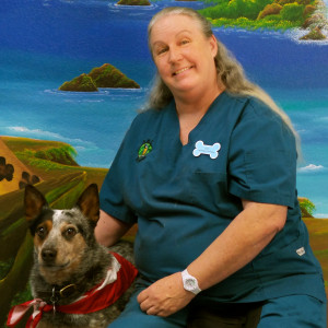 Debi G., Veterinary Assistant