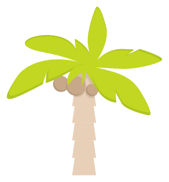 Palm Tree